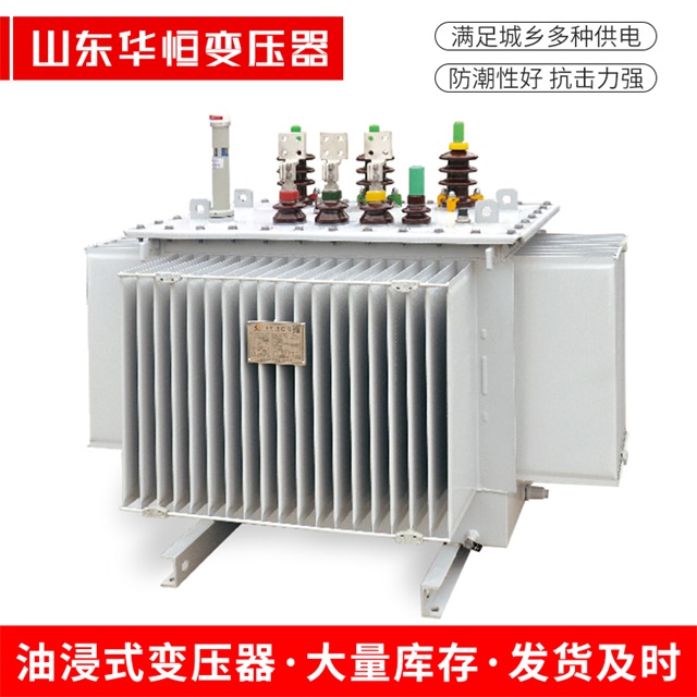 S13-10000/35市中市中市中电力变压器