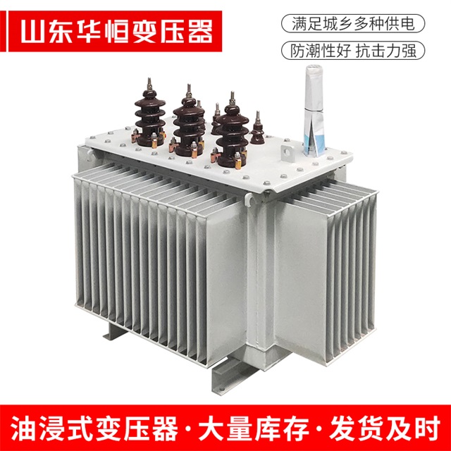 S13-10000/35市中市中市中油浸式变压器厂家